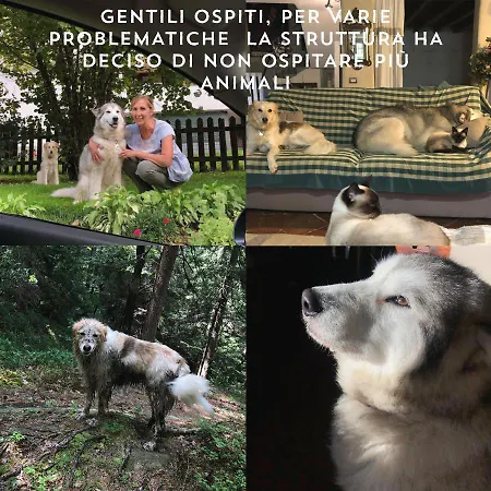 فندق مبيت وإفطار Il Respiro Dell'anima *